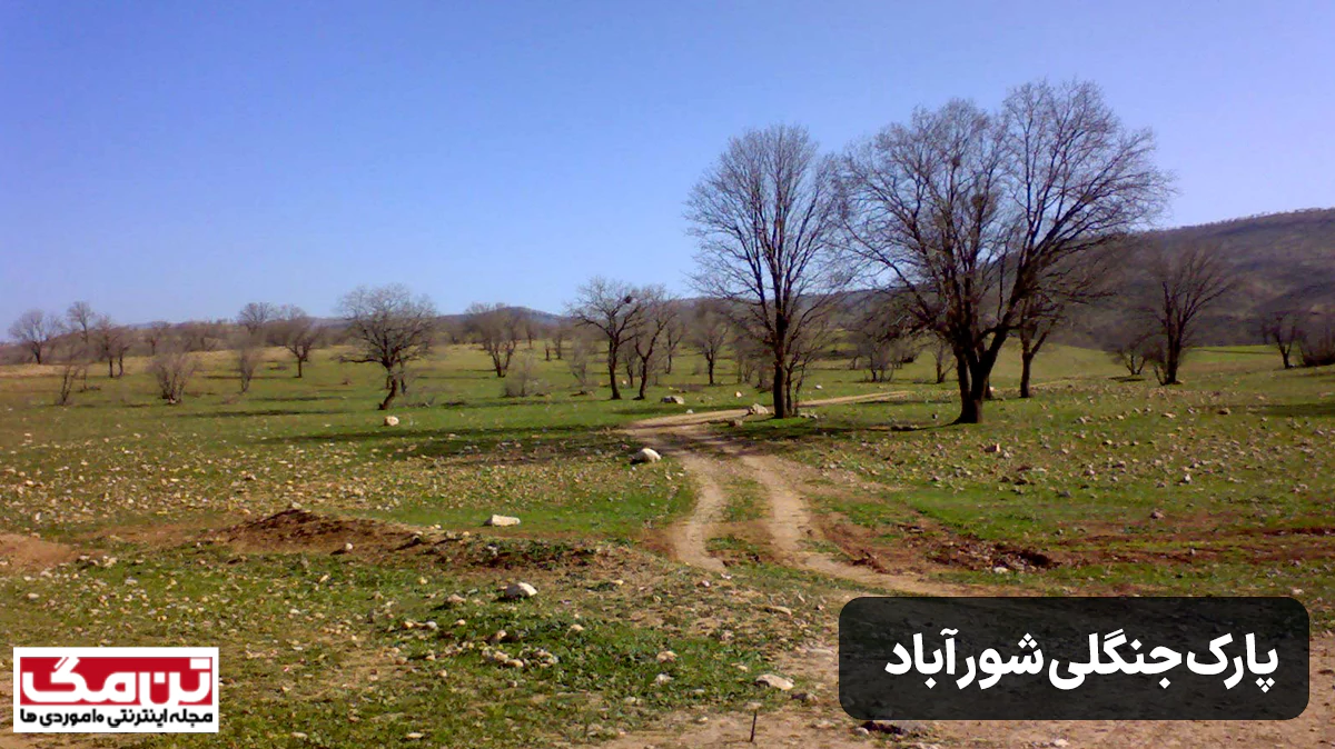 پارک جنگلی شور آب